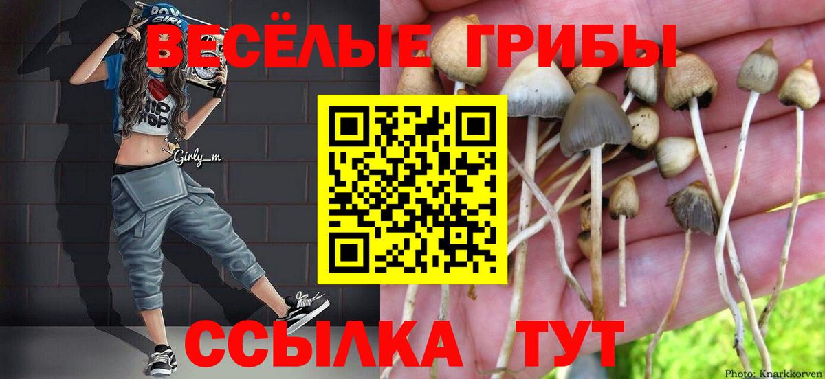 Евпатория  Псилоцибиновые грибы мухоморы  Вход с VPN 